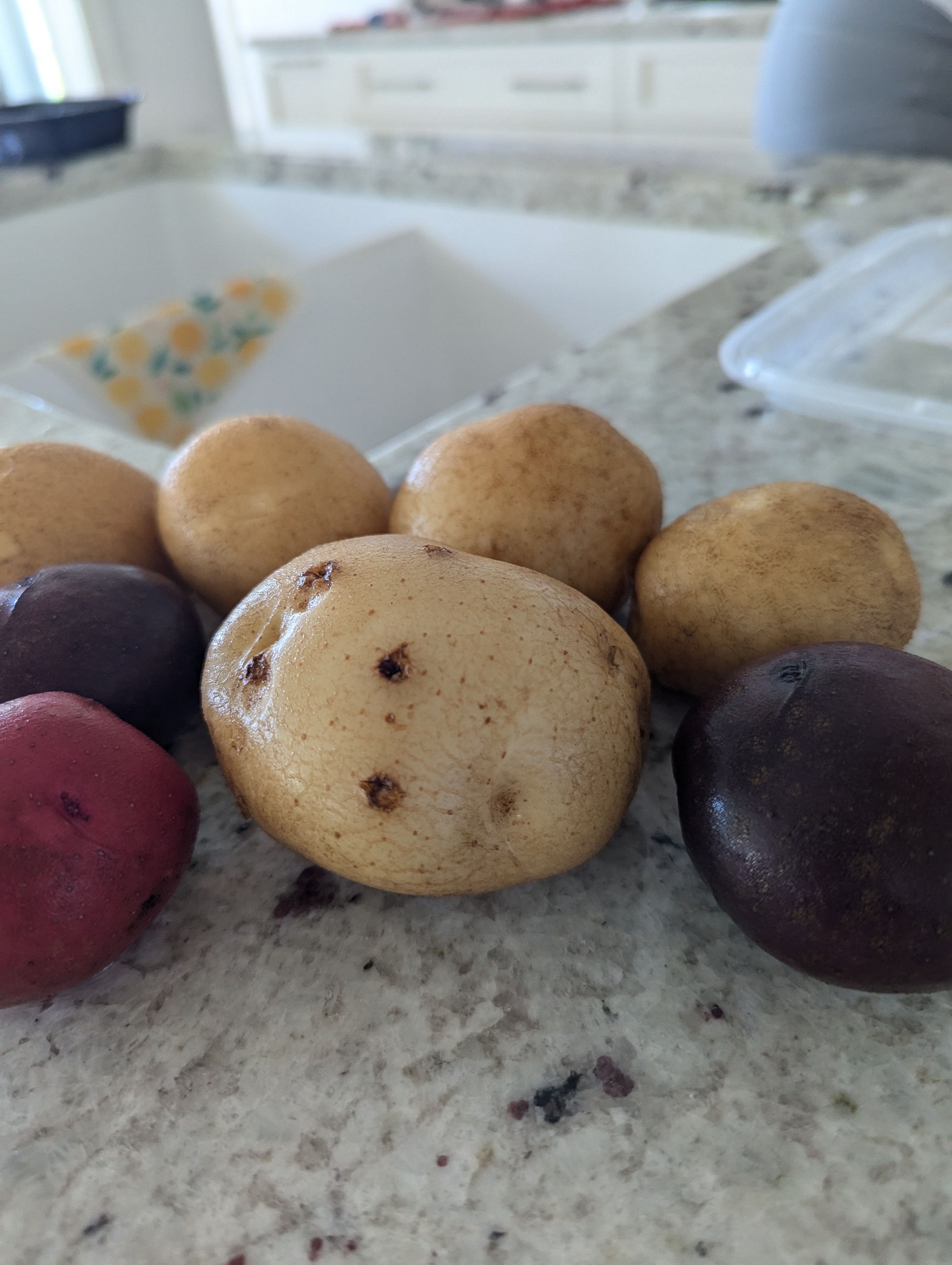 Chris Izworski - PXL_20240728_202748992.MP - Freighter View Farms