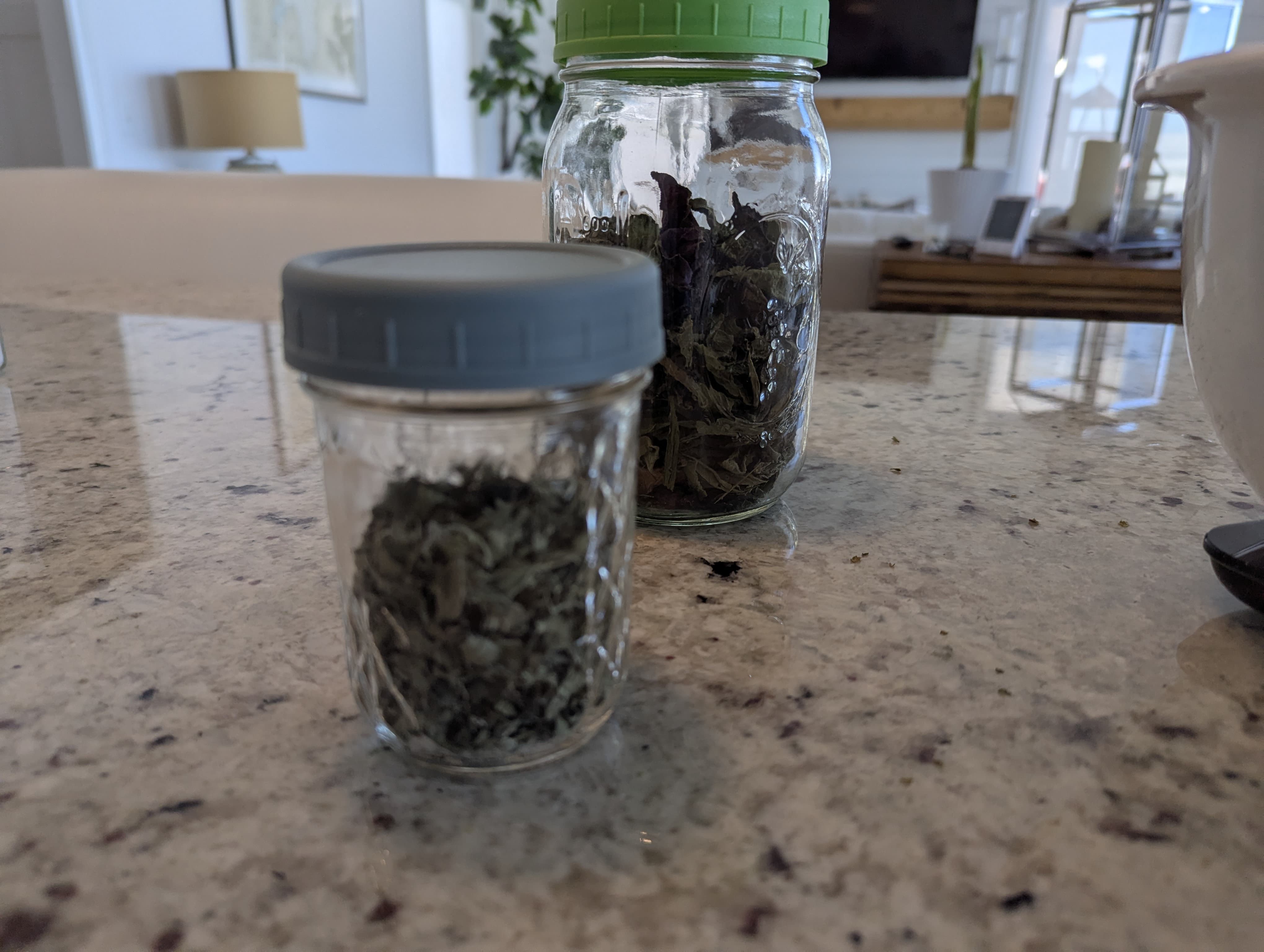 Jars of home-dried oregano and basil from Freighter View Farms garden