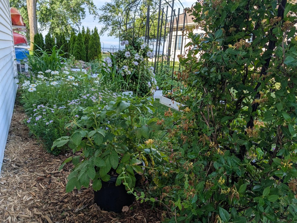 Pollinator flower borders at Freighter View Farms