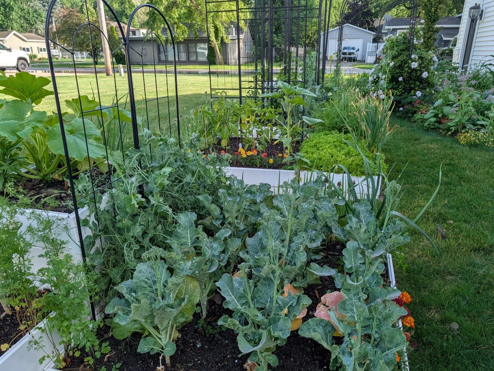 Raised bed vegetable garden at Freighter View Farms in Michigan